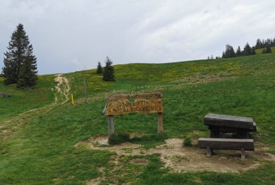 244551242_423233979143896_82911480656142992_n