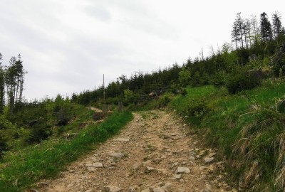 244702529_989700085095191_286249806076156130_n