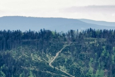 244807690_630213361315664_2523269494664388960_n