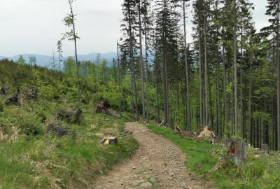 244953426_410505467109370_7953810587429628951_n