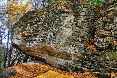 122012110_663342770987898_7123422525896486482_n