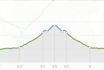 Adnotacja_2020-06-20_132613_Copy