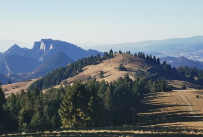 255701051_620846199098825_245219890565236026_n