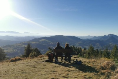 255773889_927422221515228_6268166538962829397_n