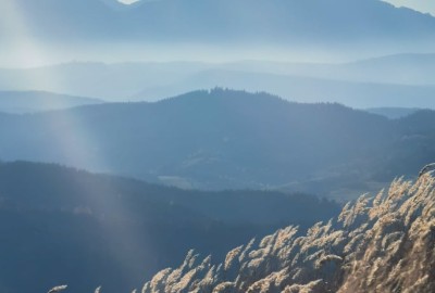 255783367_312872053735002_2580356030351020715_n