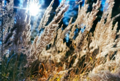 256742746_311642544122906_205608455441407664_n