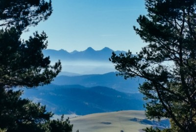 256855394_416341983316130_4520875242957061434_n