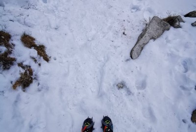 270355511_1141789513019527_6389967672369539345_n