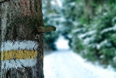 275001946_655582899044778_9435417708618154_n