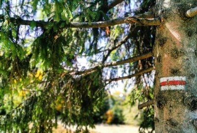 275029972_5501773536519164_4137084073250694853_n