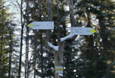 275176280_329581305852903_3880429552433652757_n