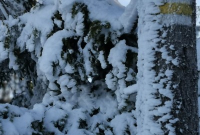 275308702_1327287894417990_7905160129467034907_n