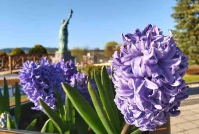 94832217_3082252528500661_120566311888617472_n