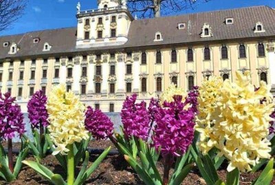 95096439_279946606354356_8607674177027047424_n