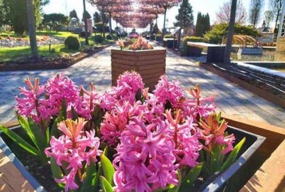 95127781_2709617505934117_2117822732702842880_n