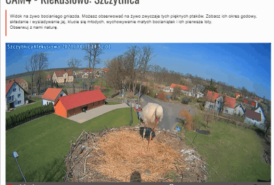 Kamera_Bociany