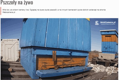Kamera_pszczoł