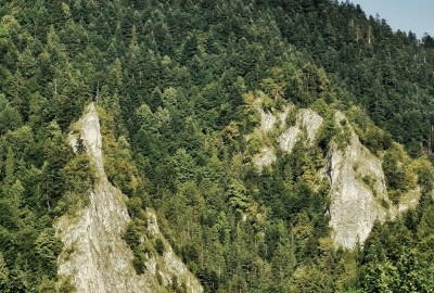 117813869_618374625484713_5282308465988428992_o