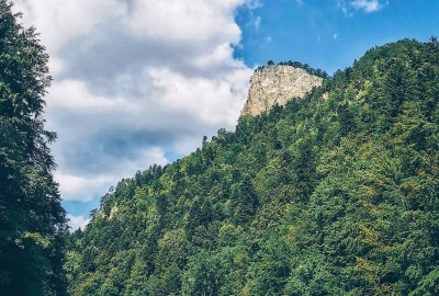 119063288_638530053469170_5943865335205800162_o