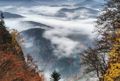 22555761_1879691758715472_606628119662885598_o