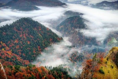 27982911_2034518943232752_7066441580713740772_o