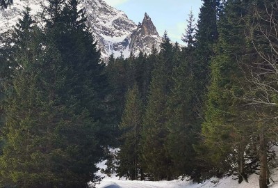 83946945_506204113368432_1832707728259153920_o