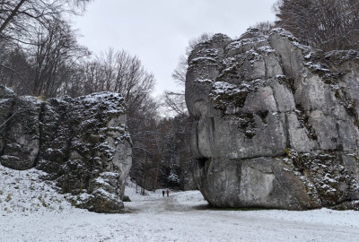 403406757_1416770865862315_7765554732115788189_n