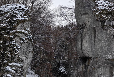 403612258_246780828269305_2832220325593957777_n