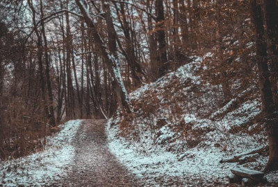 403612362_387221063743187_4731033402249738780_n