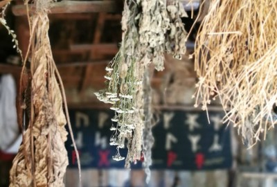 244013212_1060546221376804_8299218082277605838_n