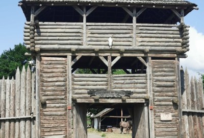 244200632_247254377229046_5779712289496602518_n