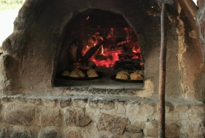 244386741_1342610089488421_8271603184065134426_n