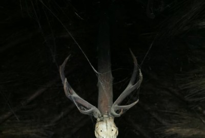 244420464_1878425428985964_3918932497030875370_n