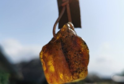 244582573_196716405921365_4365038687365952335_n