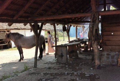 244759839_461511988445534_349896116318385668_n