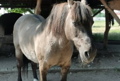 245090273_371467711276122_4348239774309483580_n