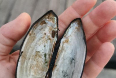 301502417_1114770122804000_4143379250727731041_n