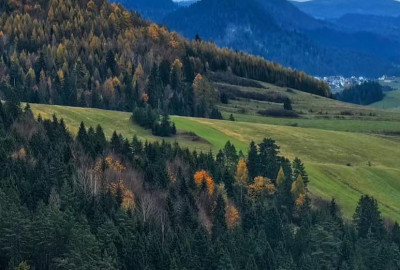 419978059_422402536793941_5130394347091806949_n