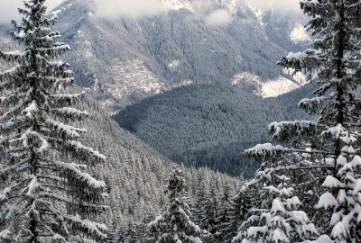 Dolina_Chocholowska10