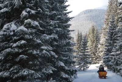 Dolina_Chocholowska2