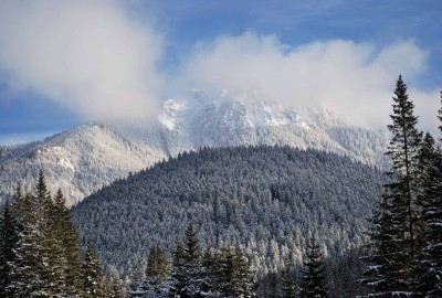 Dolina_Chocholowska5