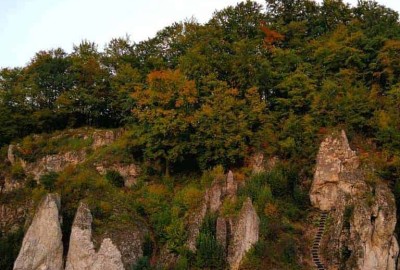 43599391_2443378719013437_1741734990875459584_o_Copy