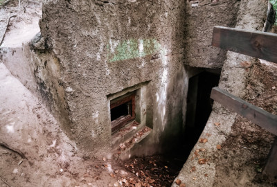 238573629_617275826314253_6021680211625228296_n