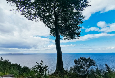 238852432_208609671251589_3277136352362274344_n