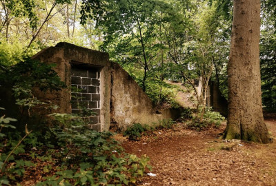 240384797_413409900371640_7750680119540183117_n