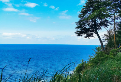 240402265_1208115529664706_1706800201782099942_n