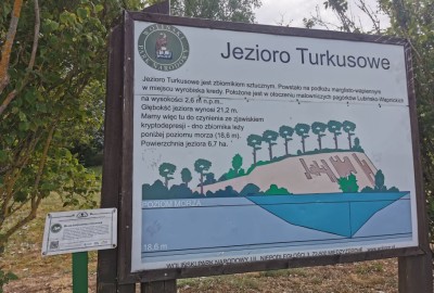 242078397_414020067010710_3372135623119443903_n