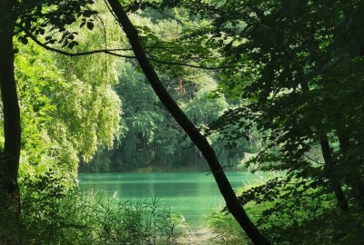 242387035_198024662419117_983503766624298379_n