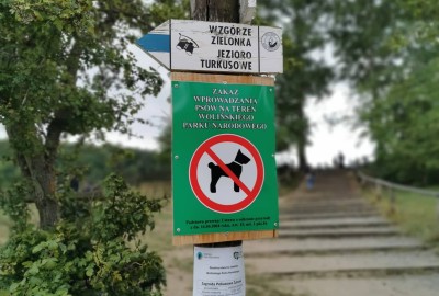 242851586_405505037769657_1243546114652687860_n