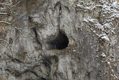 403603326_322787920560564_6409807147252314549_n